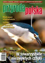 Przyroda Polska 8/2024