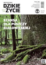 Dzikie Życie 3/2024