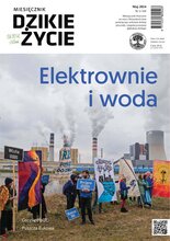 Dzikie Życie 5/2024