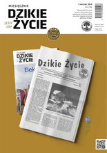 Dzikie Życie 6/2024