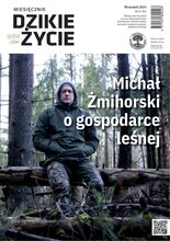 Dzikie Życie 9/2024