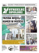 Strzelec Opolski 31/2024