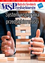 Gazeta Małych i Średnich Przedsiębiorstw 2/2024