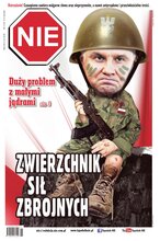 NIE 11/2024