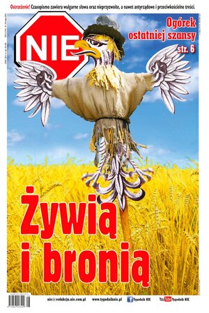 NIE 8/2024
