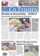 Co Tydzień 33/2024
