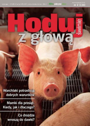 Hoduj z głową świnie 2/2025