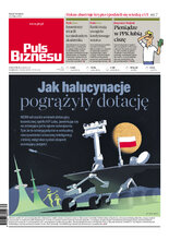 Puls Biznesu 141/2025