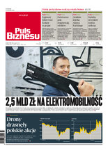 Puls Biznesu 174/2025