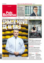 Puls Biznesu 175/2025