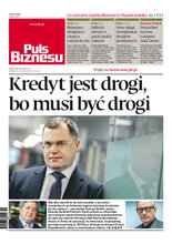 Puls Biznesu 42/2025