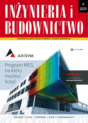 Inżynieria i Budownictwo 6/2025