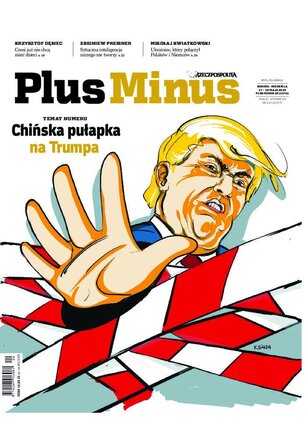 Plus Minus 20/2025