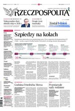 Rzeczpospolita 293/2025