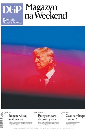 Dziennik Gazeta Prawna 11/2025