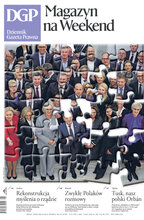 Dziennik Gazeta Prawna 133/2025