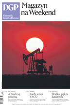 Dziennik Gazeta Prawna 153/2025