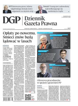 Dziennik Gazeta Prawna 213/2025