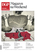 Dziennik Gazeta Prawna 217-218/2025