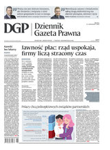 Dziennik Gazeta Prawna 219/2025