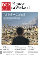 Dziennik Gazeta Prawna 221/2025