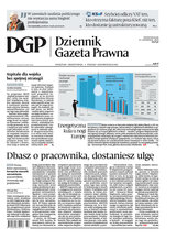 Dziennik Gazeta Prawna 222/2025