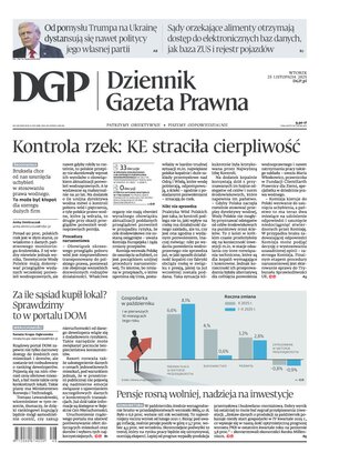 Dziennik Gazeta Prawna 228/2025