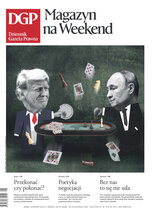 Dziennik Gazeta Prawna 231/2025