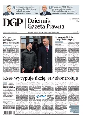 Dziennik Gazeta Prawna 247/2025
