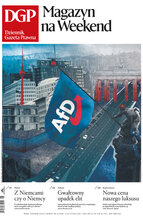 Dziennik Gazeta Prawna 36/2025