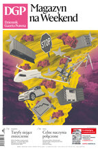 Dziennik Gazeta Prawna 66/2025