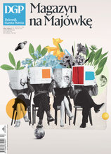 Dziennik Gazeta Prawna 80/2025