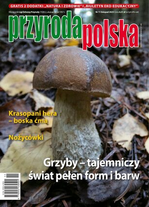 Przyroda Polska 11/2025