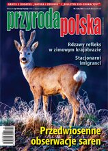 Przyroda Polska 2/2025