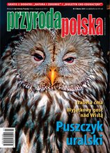 Przyroda Polska 3/2025