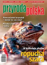 Przyroda Polska 5/2025