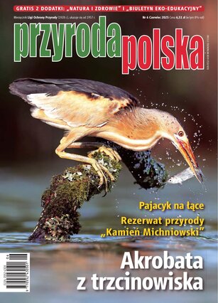 Przyroda Polska 6/2025