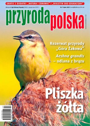 Przyroda Polska 7/2025