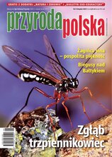 Przyroda Polska 8/2025