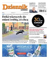 Dziennik Łódzki 67/2025
