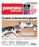 Panorama Wałbrzyska 49/2025