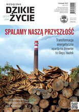 Dzikie Życie 11/2025