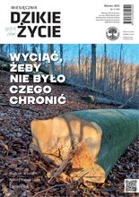 Dzikie Życie 3/2025