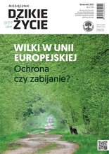 Dzikie Życie 4/2025