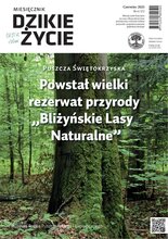 Dzikie Życie 6/2025