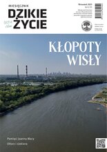Dzikie Życie 9/2025