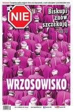 NIE 38/2025