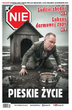 NIE 49/2025