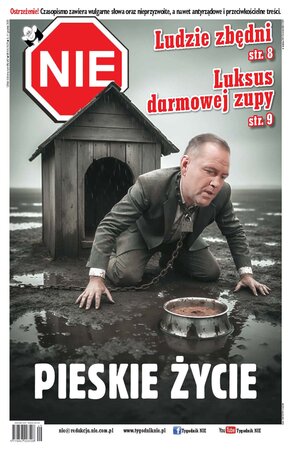 NIE 49/2025