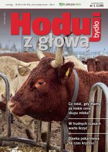 Hoduj z głową bydło 1/2026